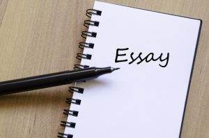 custom essay writing service